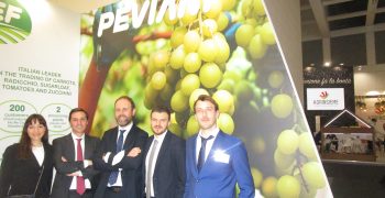 Peviani <em>focuses on late Crisp varieties </em>