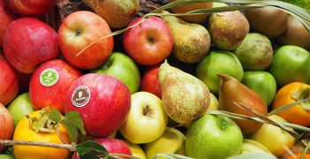 Higher apple and pear stocks in Europe and US