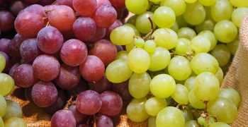 Spain’s table grape season hit by logistics crisis