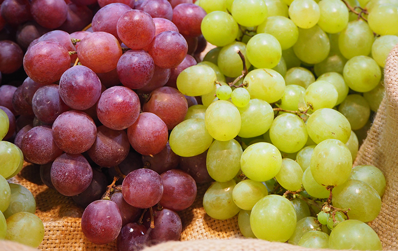 Grapes. Copyright: Alexandra Sautois/Eurofresh Distribution.