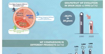 The Spanish grapefruit have the lowest water footprint in the fruit sector