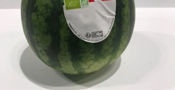 Anecoop’s Mini Bouquet watermelon receives 2022 Organic Award