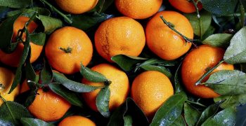 Turkey’s citrus farmers leaving crops unharvested due to high production costs