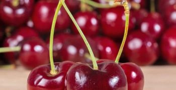 International Cherry Symposium <em>to bring the cream of the world’s cherry sector to Rimini </em>