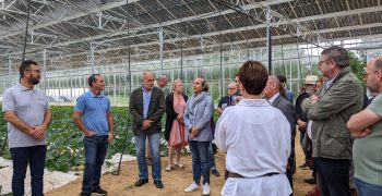 Official opening of state-of-the-art photovoltaic greenhouse – “Les cagettes de Noël”