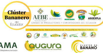 Shared Responsibility in the global banana supply chain, at Fruit Attraction, Madrid