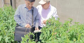 China’s crops have found an ally of natural solutions in Kimitec’s MAAVi Innovation Center