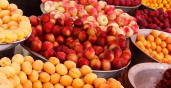 September visit to Uzbekistan, emerging exporter of fruits and vegetables