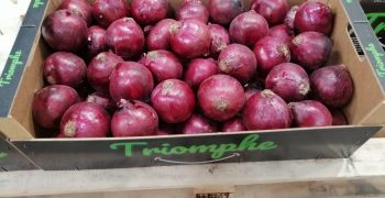 Triomphe: the new premium garlic & onion brand of Lanoe Group