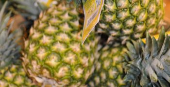 Using pineapple leaves to tackle plastics crisis