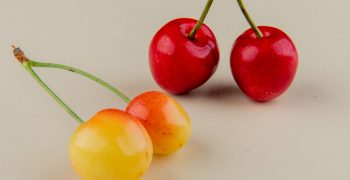 Japan’s cherry crop rebounds