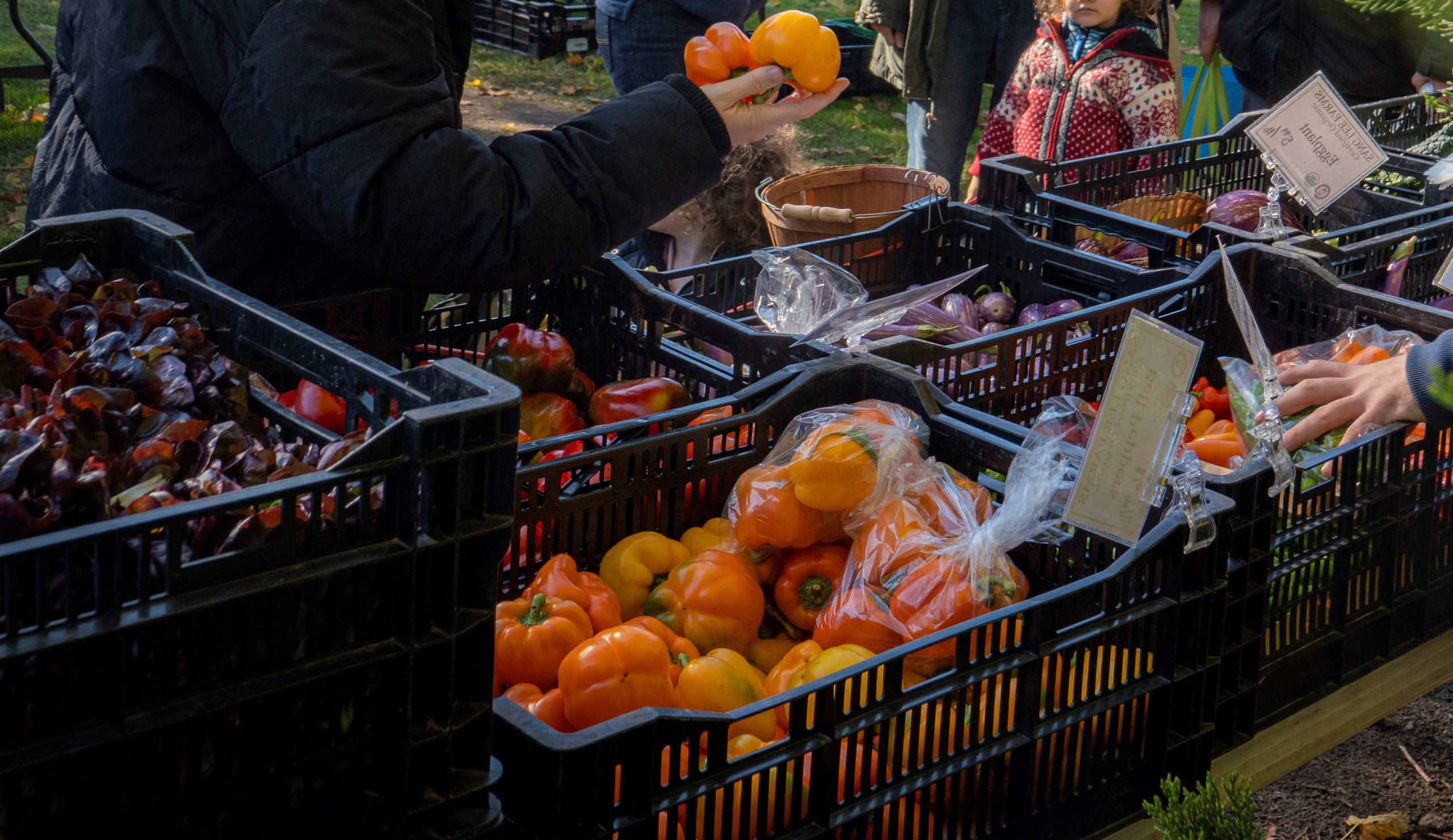 Westhampton Beach Farmers Market, New York, November 6, 2021. Copyright USDA (FPAC photo by Preston Keres)