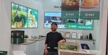 <strong>B&C Lifestyle B.V.,</strong> zero pesticides in Chinese exports of ginger to Europe