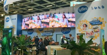 Fyffes, looking for sustainable solutions