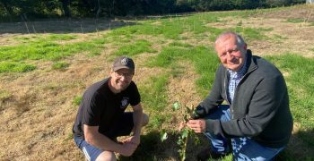 Root Zero plants biodiversity woodland