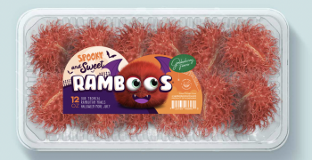 RAMBOOS® go Scary and Sweet for Halloween 