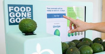 Apeel launches avocado ripeness scanner for consumers