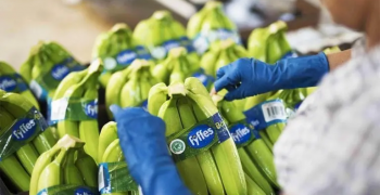 Fyffes combats food waste