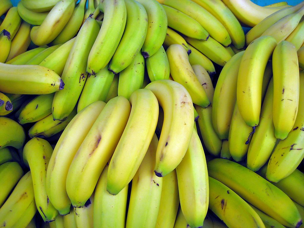Philippines Bananas. Copyright: Marlith/Creative Commons