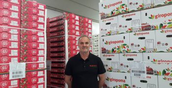 Giropoma launches <strong>new premium Candine apple</strong>