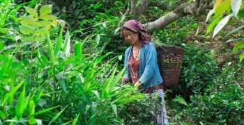 Naturland: certified organic farming since 1982
