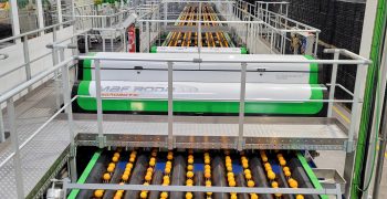 <strong>Globalscan 7 with Viotec,</strong> the most advanced citrus sorting solution