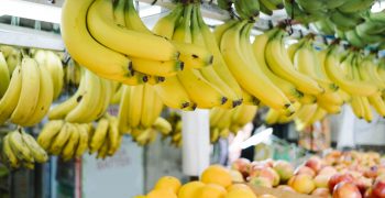 Weak yen hits Philippine banana exports to Japan