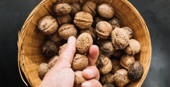 China expects recovery of nut crop