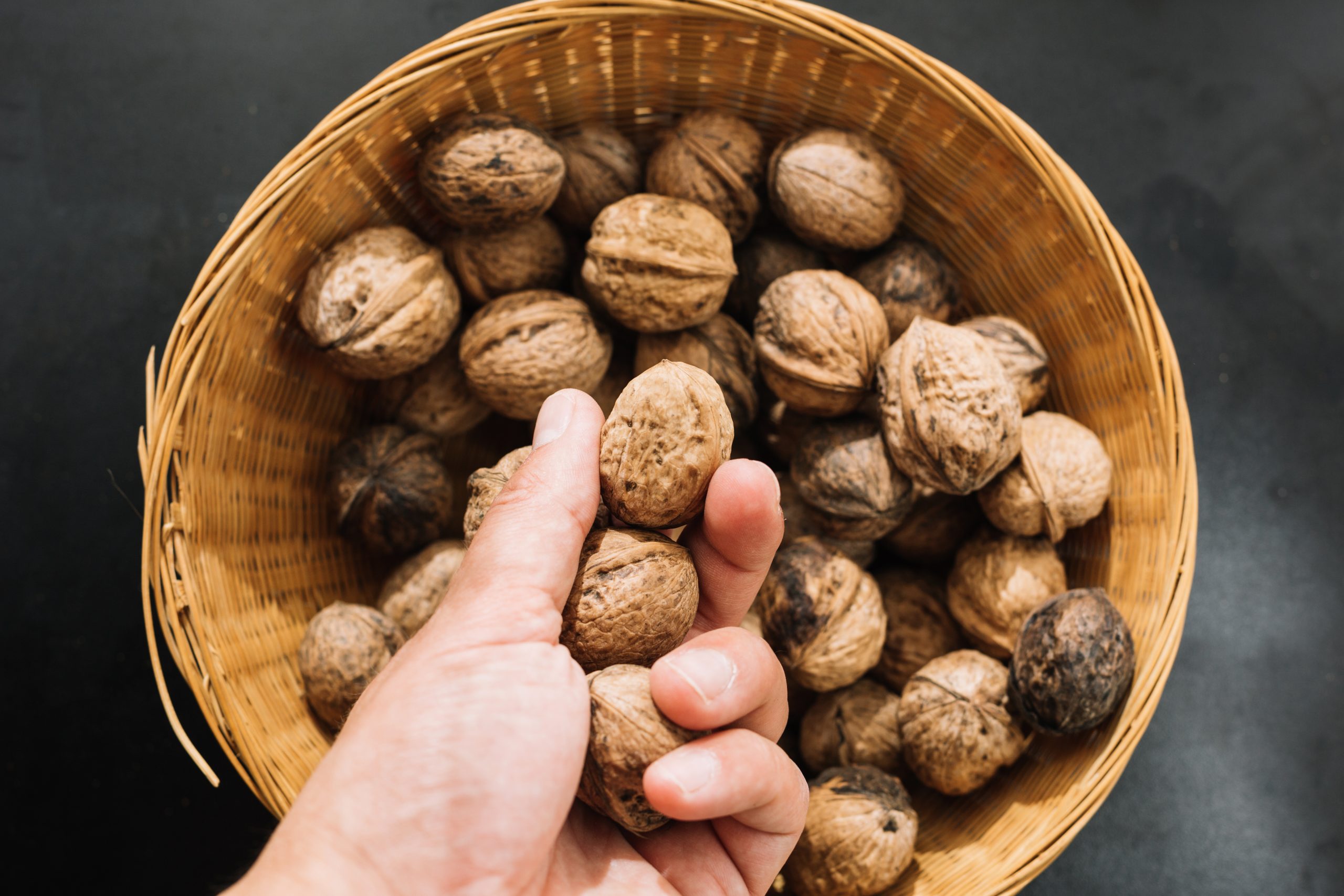 crop-hand-holding-walnut. Copyright Freepik