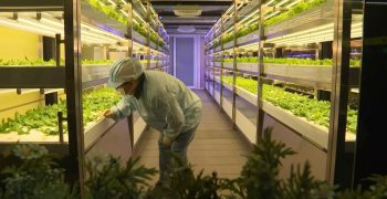 Organic farming in Taiwan’s metro stations