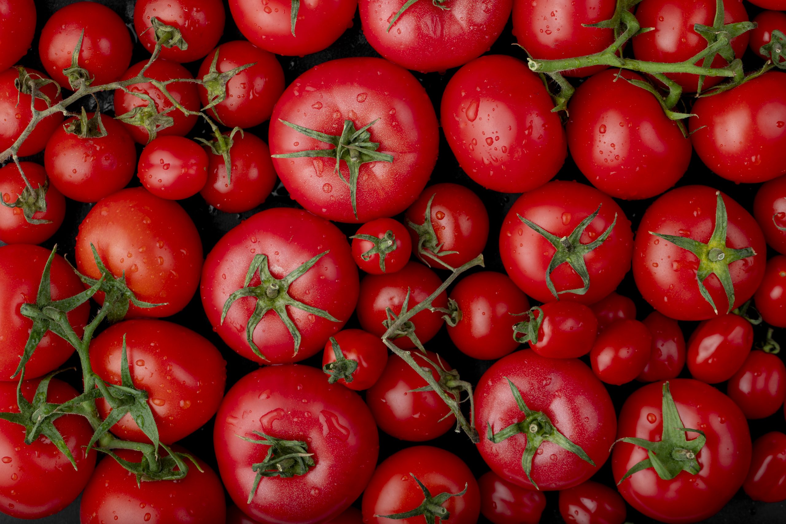 top view of ripe fresh tomatoes with water drops. Copyright: Stockking/Freepik.