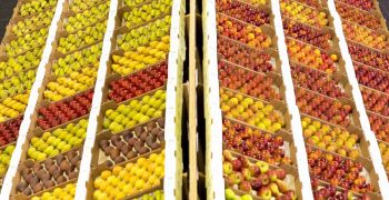 More supermarket support needed to save UK topfruit industry 