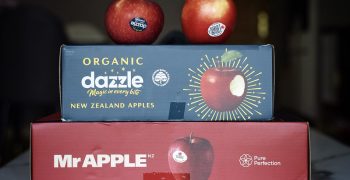 New Zealand looking forward to brighter 2022/23 apple campaign
