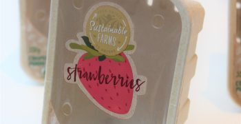 Freshfel calls for harmonisation of fresh produce packaging laws 