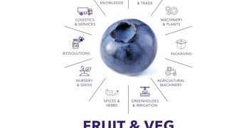Macfrut 2023, global focus on blueberries with the International Blueberry Days