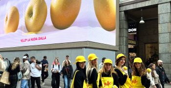 Yello®, the new yellow apple returns to the market