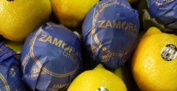 Zamora Citrus exports organic lemon to the United States