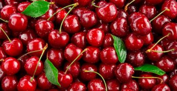 Record Southern Hemisphere cherry crop predicted