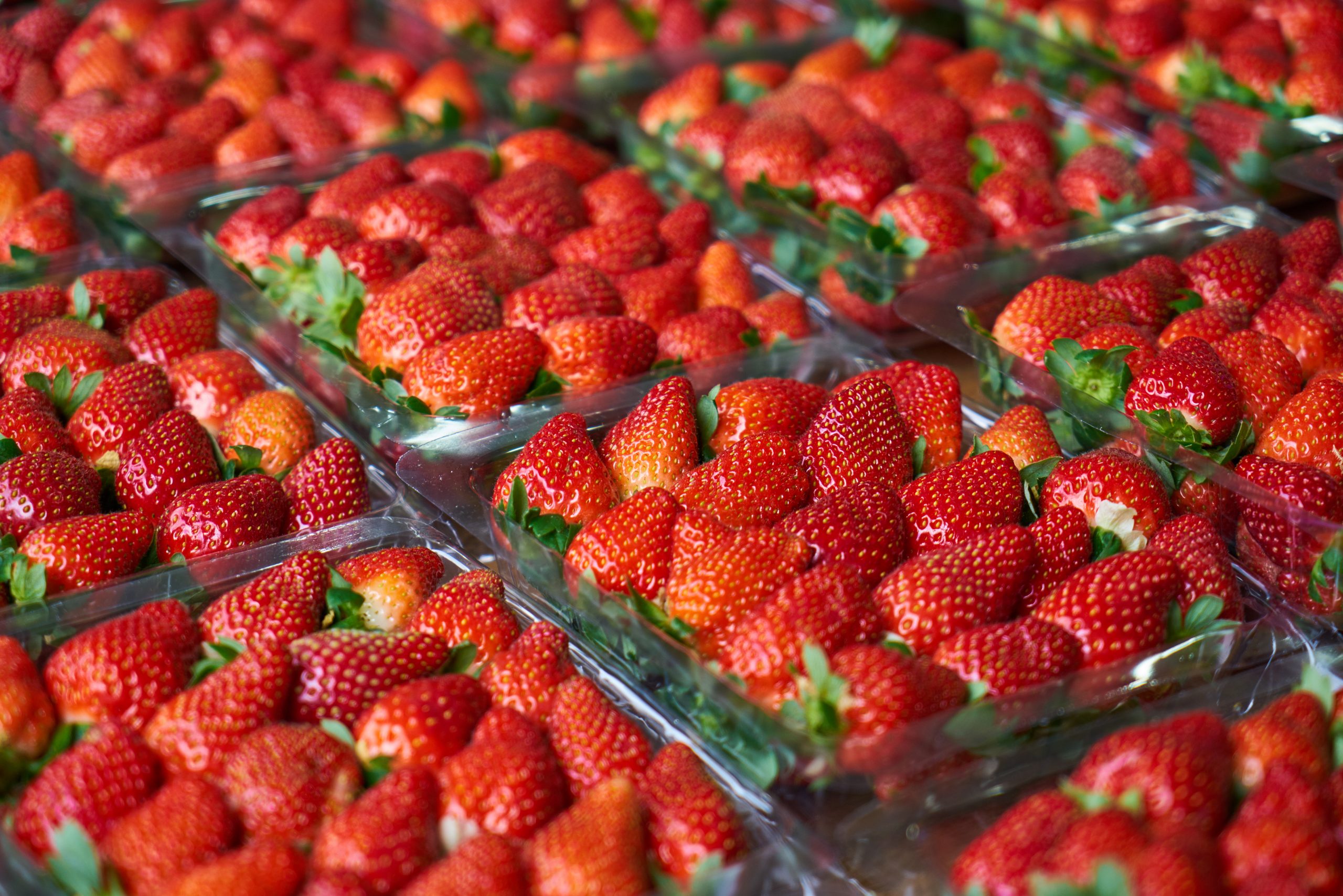 Ripe strawberries ready to eat. Copyright: FreeStockCenter/Freepik.