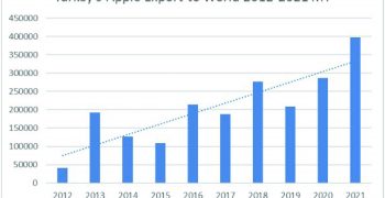 Turkish apple exports to hit record level