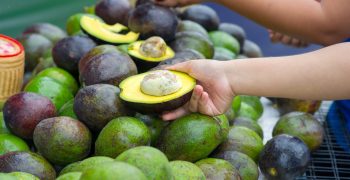 Europe’s avocado consumption rises 7%