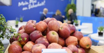 FRUCHTWELT BODENSEE: International trade fair for commercial fruit growing and agricultural technology