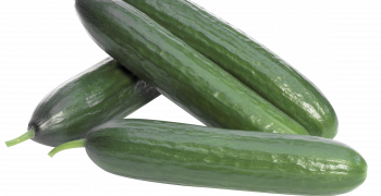 Norway links “terminated” salmonella outbreak to Spanish cucumber