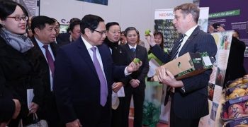 Vietnam and Netherlands forging closer ties