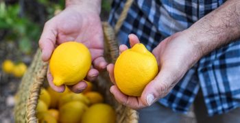 The EU increases rate of pesticides checks on Turkish lemons and grapefruits to 30%