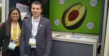 Citrosol promotes range and knowledge of avocado and mango in Peru