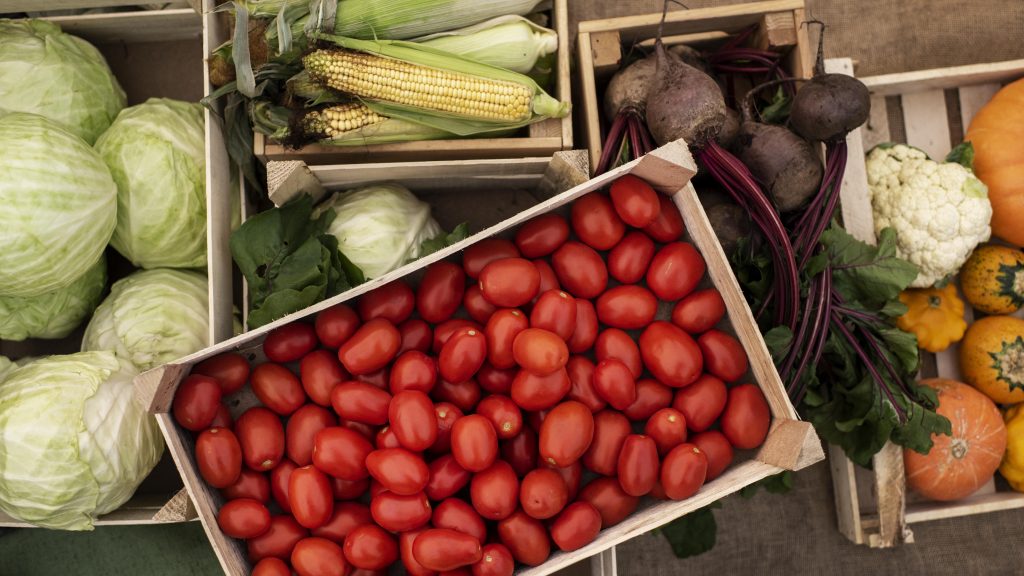 close-up-delicious-organic-tomatoes. copyright: Freepik