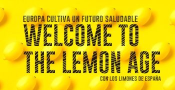 Lemon Art Exhibition Tour returns to Madrid with two-metre lemons and a more millennial profile