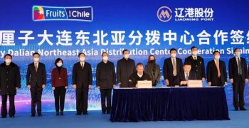 New route opens for Chilean cherries to China