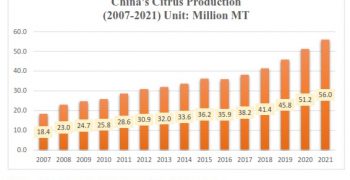 Rise in China’s orange imports 